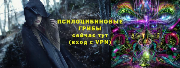 ешки Новозыбков