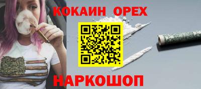 меф Гатчина